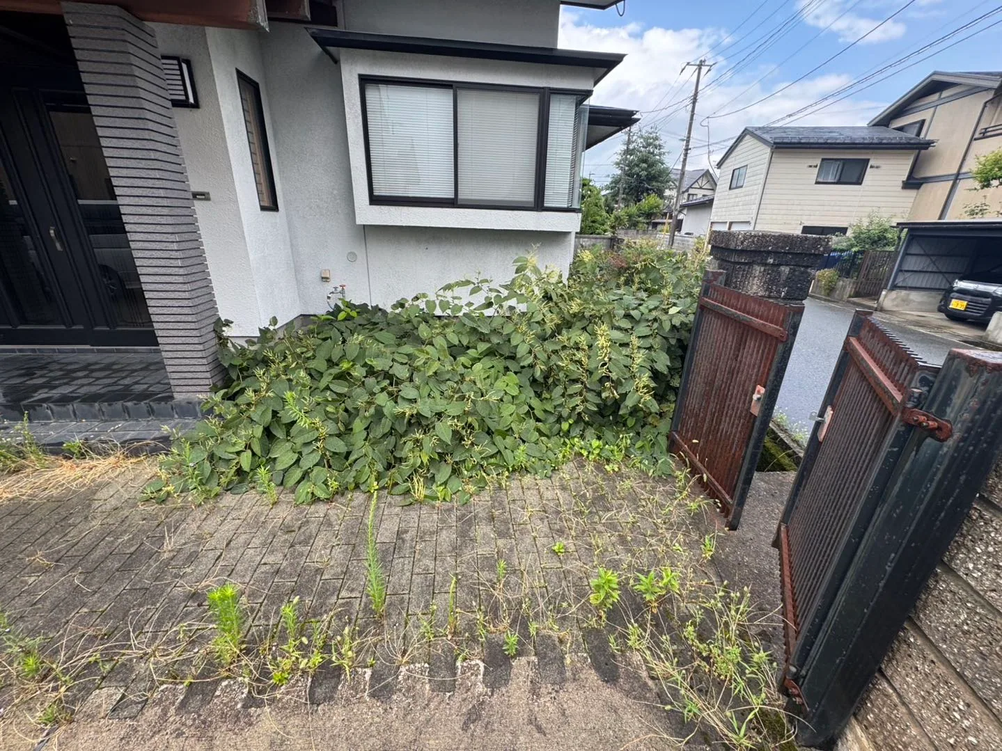 空き家の草刈り 施工前