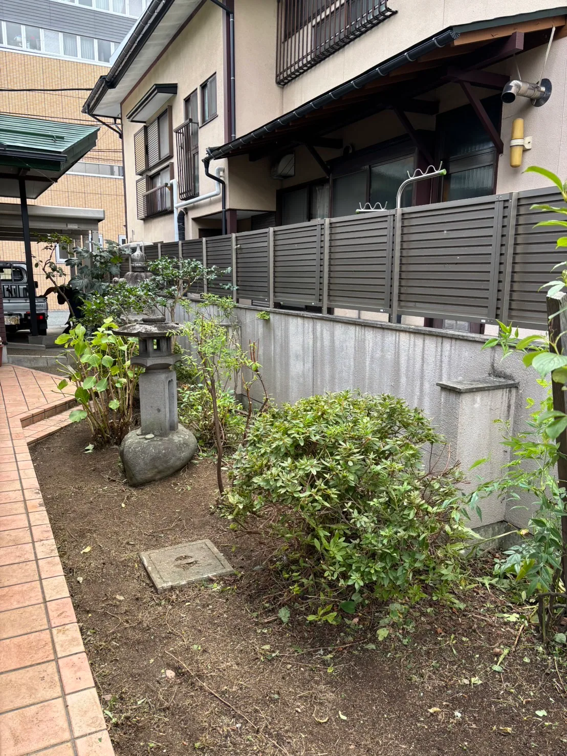 草刈り + 庭木剪定 施工後