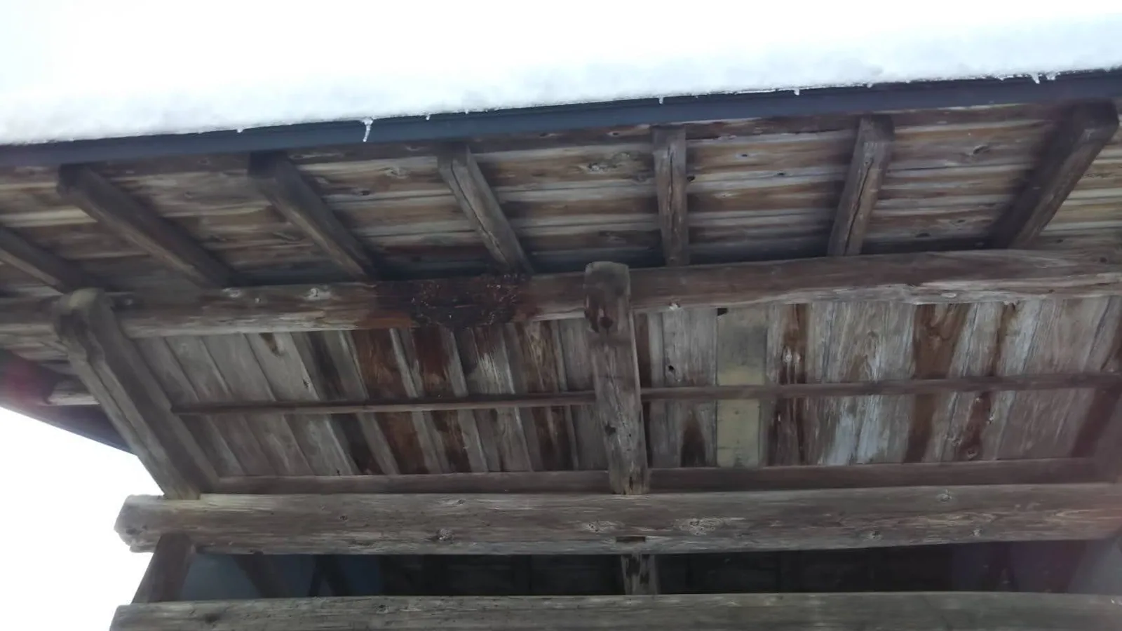 軒下のハチの巣駆除 駆除後