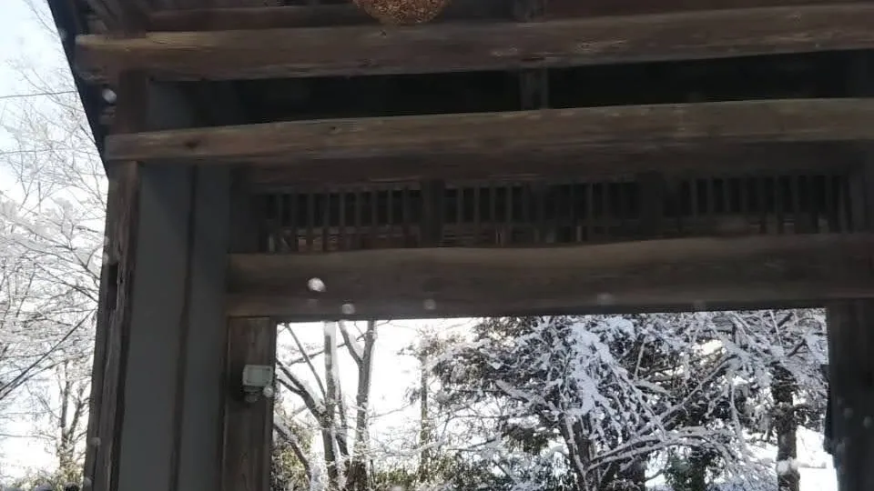 軒下のハチの巣駆除 駆除前